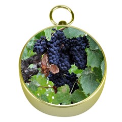 Grapes 3 Gold Compasses by trendistuff