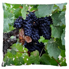 Grapes 3 Standard Flano Cushion Case (two Sides) by trendistuff