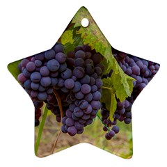 Grapes 4 Ornament (star) by trendistuff