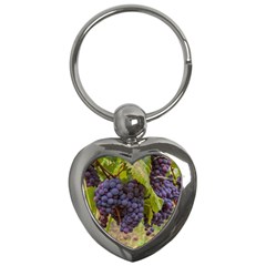 Grapes 4 Key Chains (heart)  by trendistuff