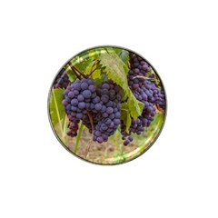 Grapes 4 Hat Clip Ball Marker by trendistuff