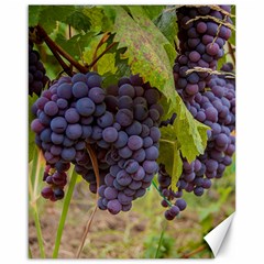 Grapes 4 Canvas 16  X 20   by trendistuff