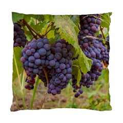 Grapes 4 Standard Cushion Case (two Sides) by trendistuff