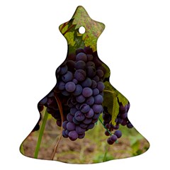 Grapes 4 Ornament (christmas Tree)  by trendistuff