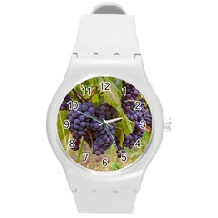 Grapes 4 Round Plastic Sport Watch (m) by trendistuff