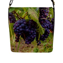 Grapes 4 Flap Messenger Bag (l)  by trendistuff