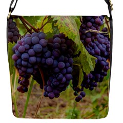 Grapes 4 Flap Messenger Bag (s) by trendistuff