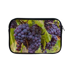 Grapes 4 Apple Ipad Mini Zipper Cases by trendistuff