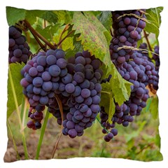 Grapes 4 Standard Flano Cushion Case (two Sides) by trendistuff