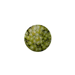 Grapes 5 1  Mini Buttons by trendistuff