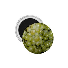 Grapes 5 1 75  Magnets by trendistuff