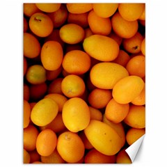 Kumquat 1 Canvas 36  X 48   by trendistuff