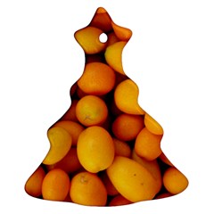 Kumquat 1 Ornament (christmas Tree)  by trendistuff