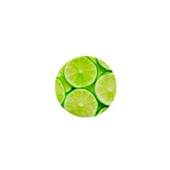 Limes 3 1  Mini Magnets by trendistuff