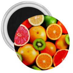Mixed Fruit 1 3  Magnets by trendistuff