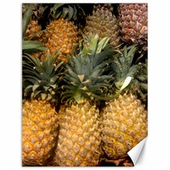 Pineapple 1 Canvas 18  X 24   by trendistuff