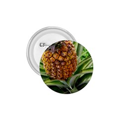 Pineapple 2 1 75  Buttons by trendistuff