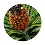 PINEAPPLE 2 Ornament (Round) Front