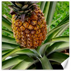 Pineapple 2 Canvas 20  X 20   by trendistuff