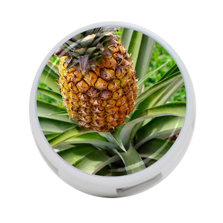 PINEAPPLE 2 4-Port USB Hub (Two Sides) 