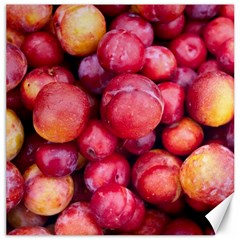 Plums 1 Canvas 12  X 12   by trendistuff