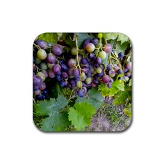 Grapes 2 Rubber Coaster (square) 