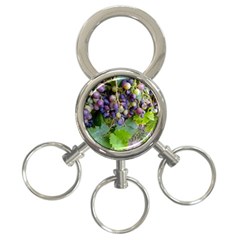 Grapes 2 3-ring Key Chains by trendistuff