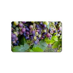 Grapes 2 Magnet (name Card) by trendistuff