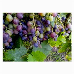 Grapes 2 Large Glasses Cloth (2-side) by trendistuff