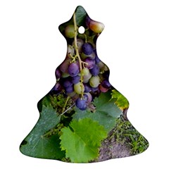 Grapes 2 Christmas Tree Ornament (two Sides) by trendistuff
