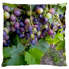 Grapes 2 Large Cushion Case (one Side) by trendistuff
