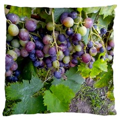 Grapes 2 Standard Flano Cushion Case (two Sides) by trendistuff