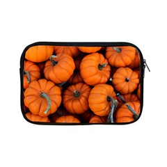 Pumpkins 2 Apple Ipad Mini Zipper Cases