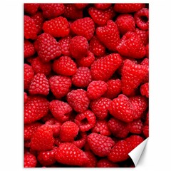 Raspberries 2 Canvas 36  X 48   by trendistuff