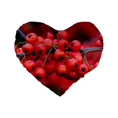 Red Berries 1 Standard 16  Premium Heart Shape Cushions by trendistuff