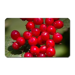 Red Berries 2 Magnet (rectangular) by trendistuff