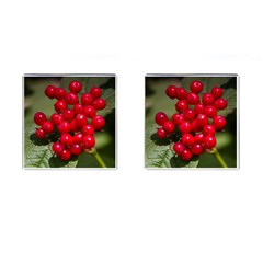 Red Berries 2 Cufflinks (square) by trendistuff