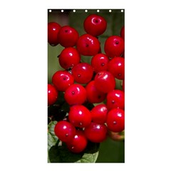 Red Berries 2 Shower Curtain 36  X 72  (stall)  by trendistuff