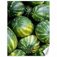 Watermelon 2 Canvas 12  X 16   by trendistuff