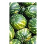 WATERMELON 2 Shower Curtain 48  x 72  (Small)  Curtain(48  X 72 ) - 42.18 x64.8  Curtain(48  X 72 )