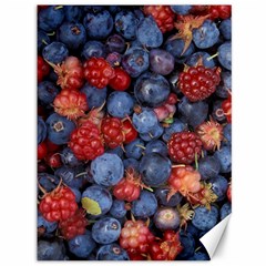 Wild Berries 1 Canvas 36  X 48   by trendistuff