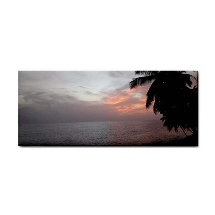 Sunset in Puerto Rico  Cosmetic Storage Cases