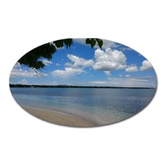 Isla Puerto Rico Oval Magnet by StarvingArtisan