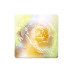 Beautiful Yellow Rose Square Magnet by FantasyWorld7