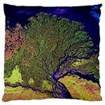 Lena River Delta A Photo Of A Colorful River Delta Taken From A Satellite Standard Flano Cushion Case (Two Sides) Front