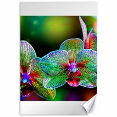 Alien Orchids Floral Art Photograph Canvas 12  X 18  