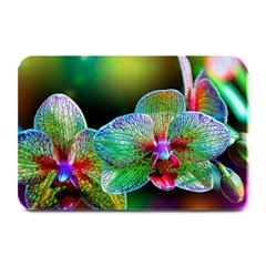 Alien Orchids Floral Art Photograph Plate Mats