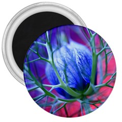 Blue Flowers With Thorns 3  Magnets