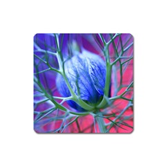 Blue Flowers With Thorns Square Magnet