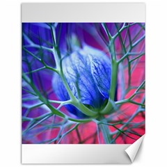 Blue Flowers With Thorns Canvas 12  x 16  